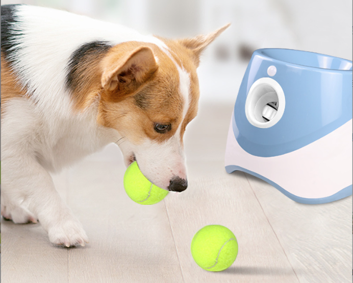 Automatic Dog Ball Launcher